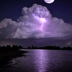 Meet your Posher, Rufus